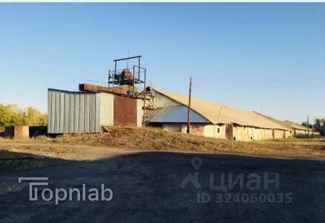 Производственное помещение в Алтайский край, Барнаул Интернациональная ... - Фото 1