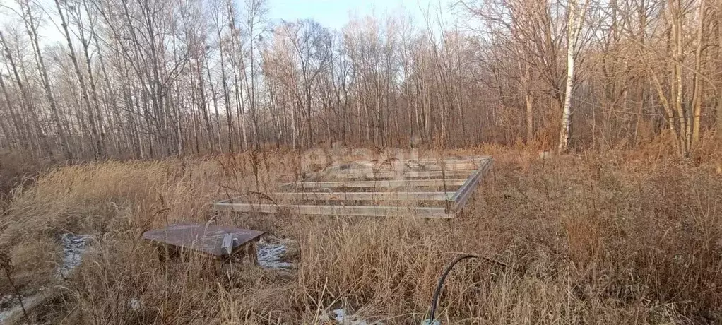 Участок в Хабаровский край, Хабаровский район, Южное СНТ  (8.1 сот.) - Фото 2