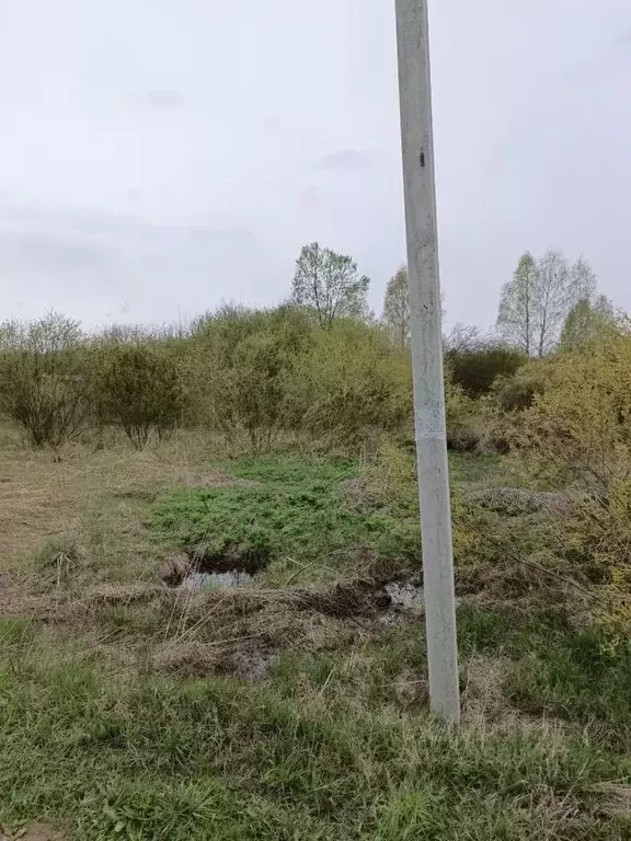 Участок в Московская область, Талдомский городской округ, д. ... - Фото 0