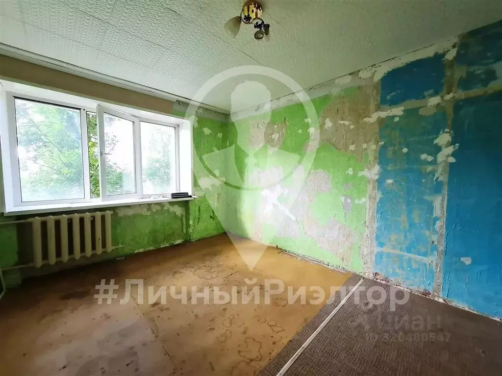 Комната Рязанская область, Рязань район Строитель тер., ул. Качевская, ... - Фото 1