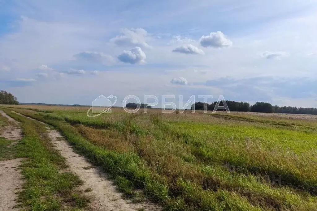 Участок в Тюменская область, Тюмень ул. Ленина (6000.0 сот.) - Фото 0