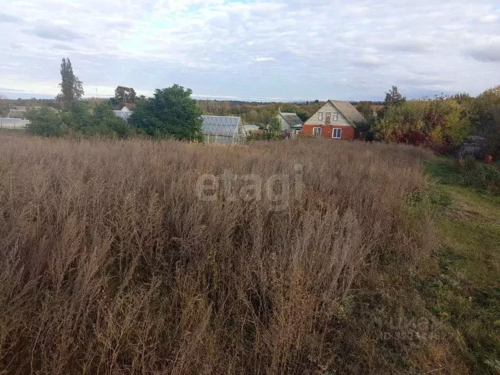 Участок в Белгородская область, Губкинский городской округ, с. ... - Фото 2