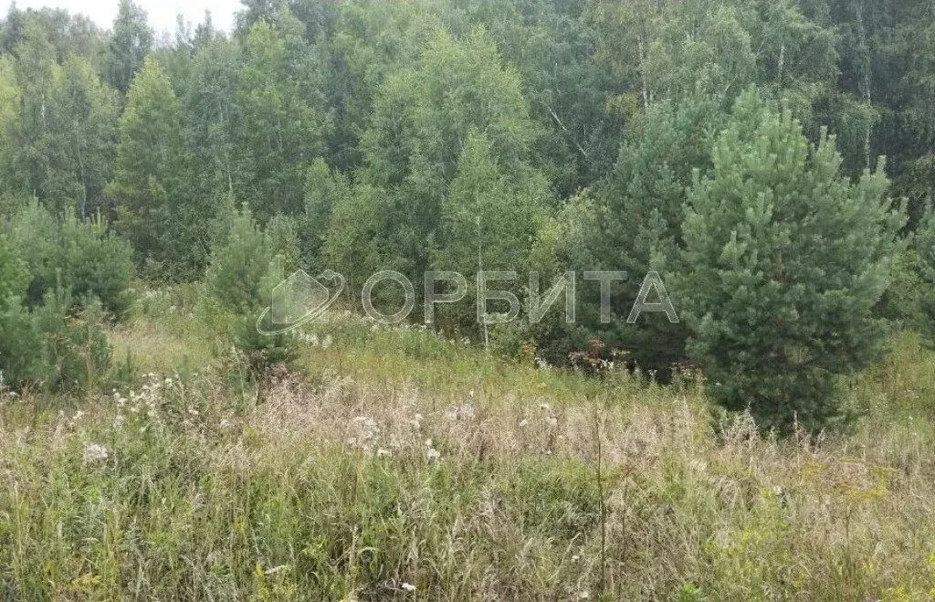 Участок в Тюменская область, Тюменский район, с. Кулига  (14.35 сот.) - Фото 2