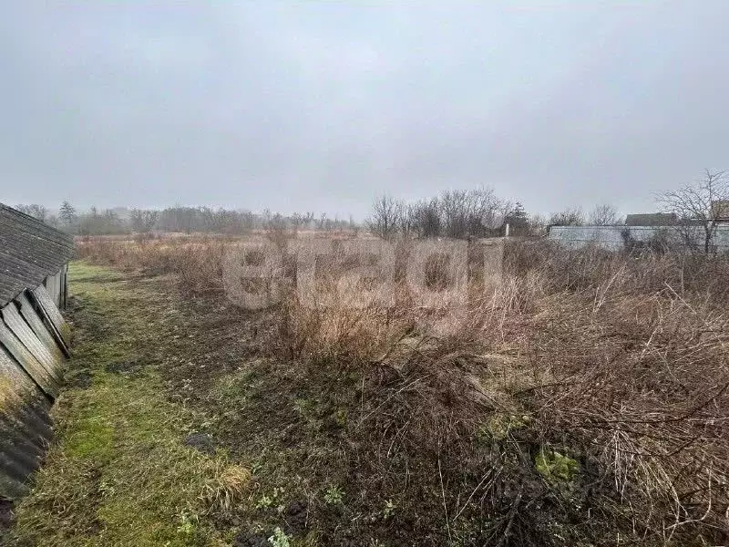 Участок в Белгородская область, Яковлевский муниципальный округ, с. ... - Фото 2