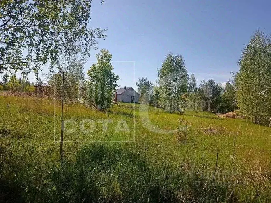 Участок в Воронежская область, с. Новая Усмань ул. Виноградная, 97 ... - Фото 1