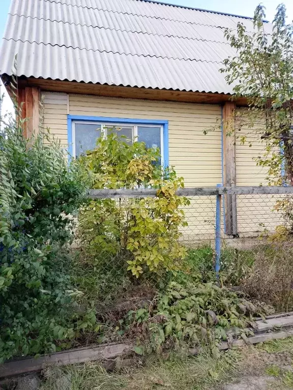 Дом в Курганская область, с. Кетово ул. Энергетиков, 24 (71 м) - Фото 0