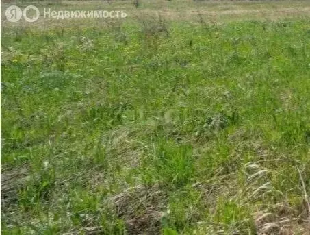 Участок в Пермский муниципальный округ, деревня Большакино, улица ... - Фото 1