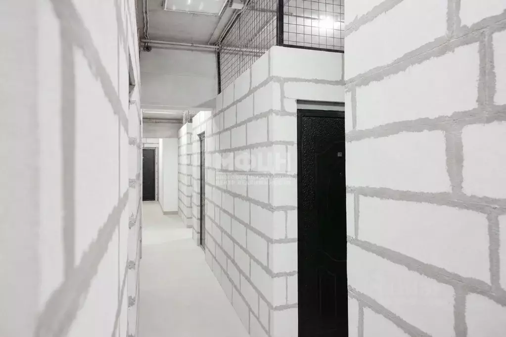 Помещение свободного назначения в Карелия, Петрозаводск ул. Петрова, ... - Фото 2