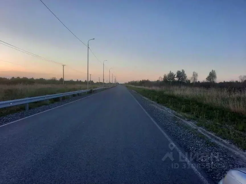 Участок в Тюменская область, Тюмень Царево садовое товарищество, ул. ... - Фото 0