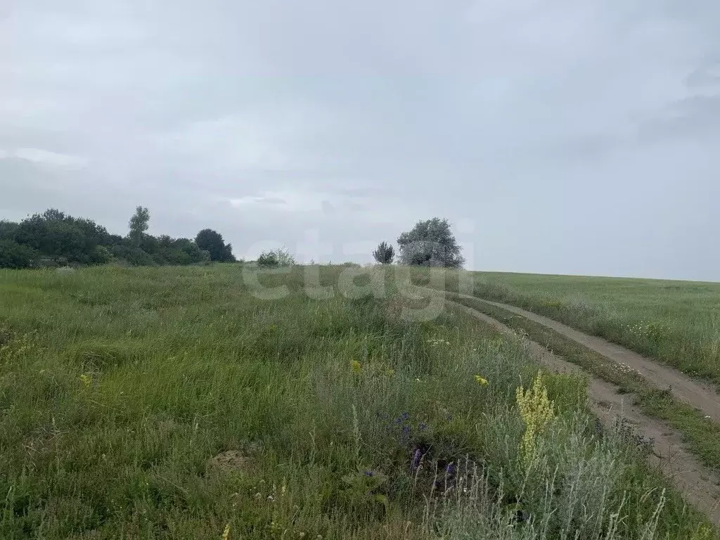 Участок в Белгородская область, Белгородский район, Комсомольское ... - Фото 1