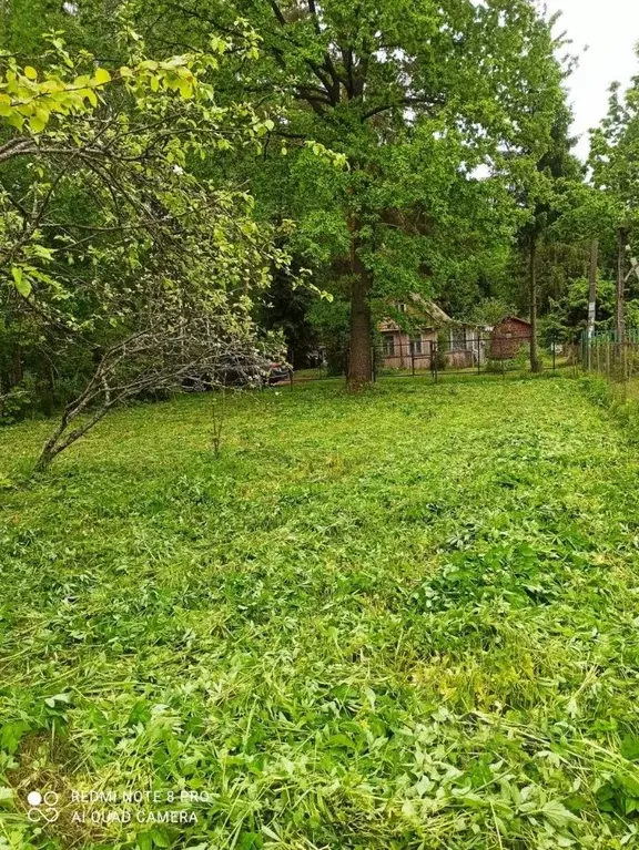 Участок в Ленинградская область, Кировский район, Мгинское городское ... - Фото 1