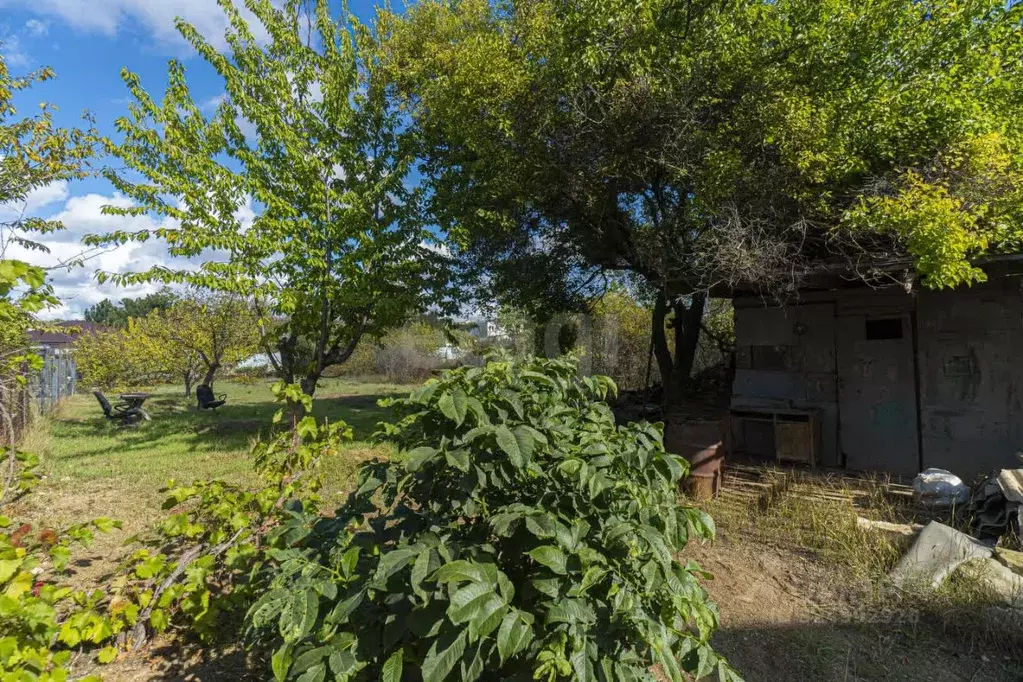 Участок в Севастополь Маяк-4 садовое товарищество, 110 (4.65 сот.) - Фото 1