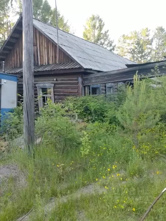 Помещение свободного назначения в Амурская область, Селемджинский ... - Фото 1