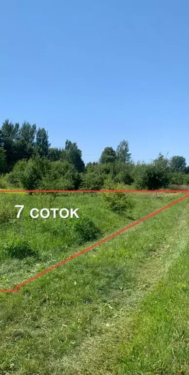 Участок в Калининградская область, Зеленоградский муниципальный округ, ... - Фото 1
