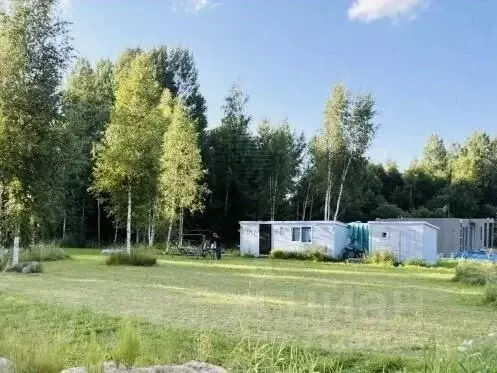 Участок в Ленинградская область, Выборгский район, Рощинское городское ... - Фото 1