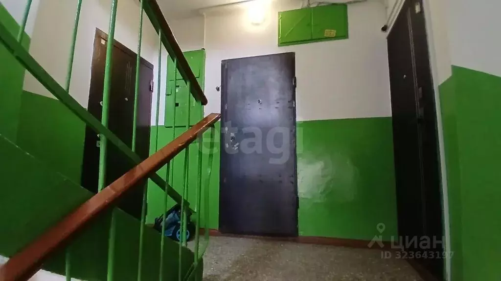 1-к кв. Новосибирская область, Новосибирск ул. Титова, 43/1 (28.7 м) - Фото 1