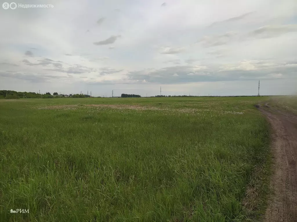 Участок в Подгорное, А-133, 55-й километр (894 м) - Фото 1