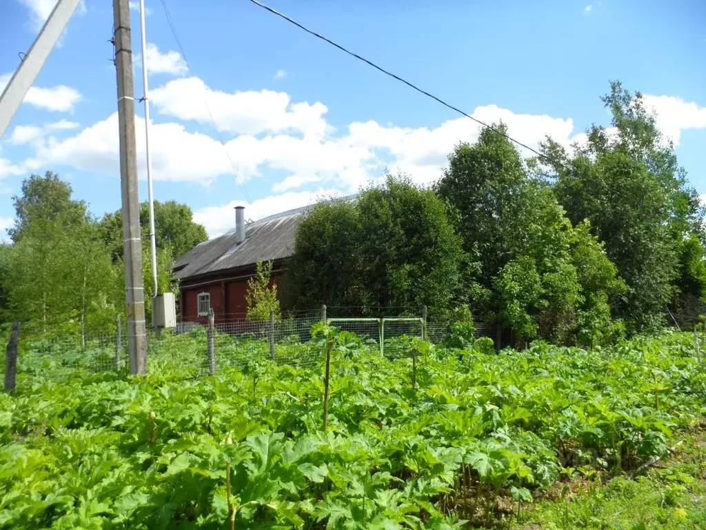 Участок в Московская область, Клин городской округ, д. Голенищево 39 ... - Фото 0