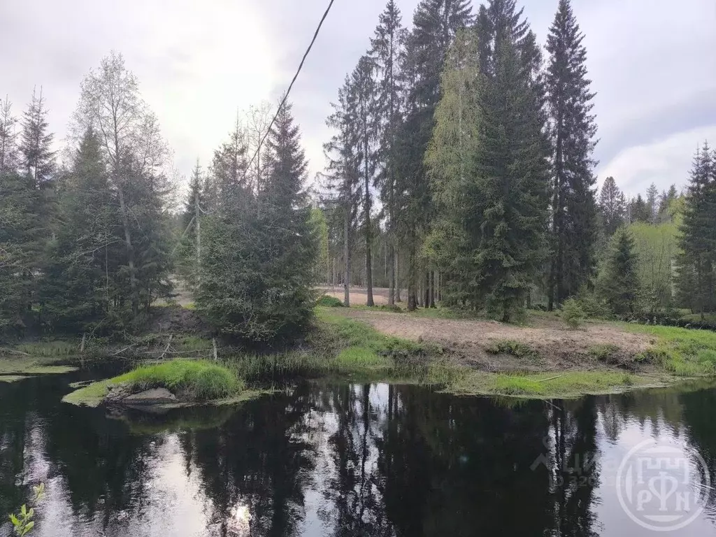 Участок в Ленинградская область, Выборгский район, Рощино пгт  (12.0 ... - Фото 1