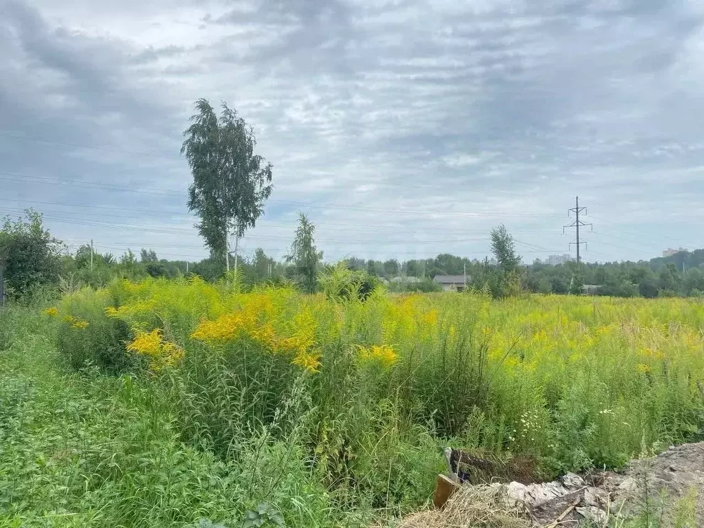 Участок в Брянская область, Брянский район, Снежское с/пос, с. ... - Фото 1