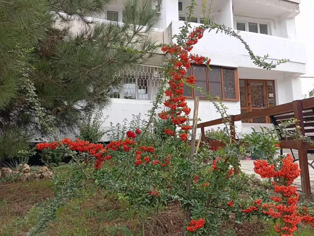 Студия Севастополь ул. Челюскинцев, 49 (20.3 м) - Фото 2