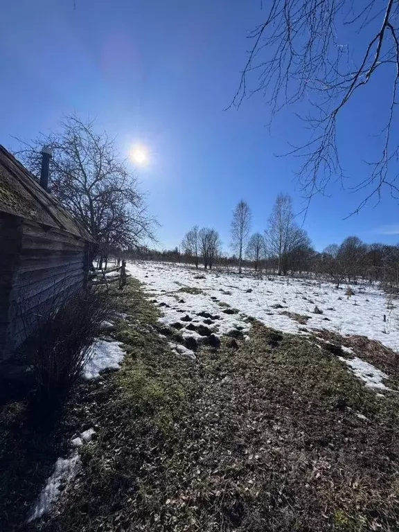 Участок в Псковская область, Палкинская волость, д. Полены  (56.0 ... - Фото 2