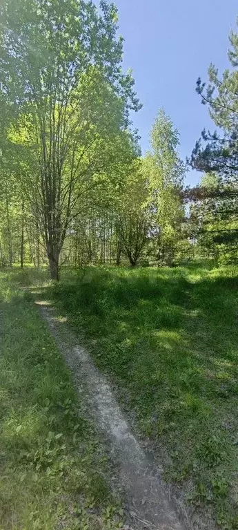 Участок 15 сот. (ИЖС) - Фото 0