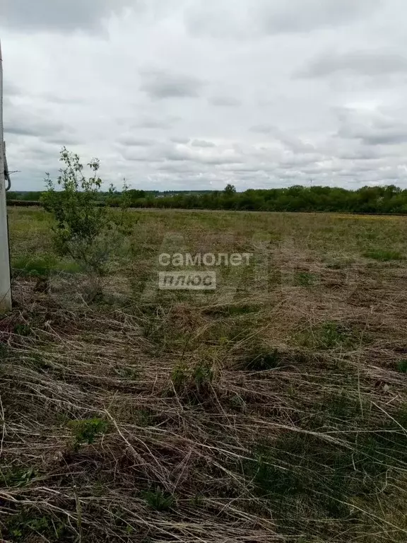 Участок 12 сот. (ИЖС) - Фото 1