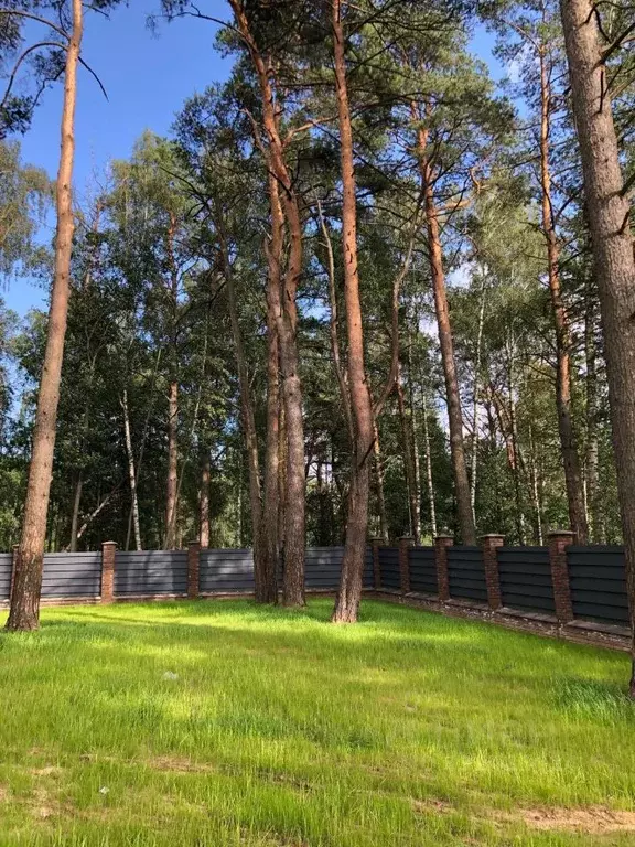 Участок в Московская область, Звенигород Одинцовский городской округ,  ... - Фото 2