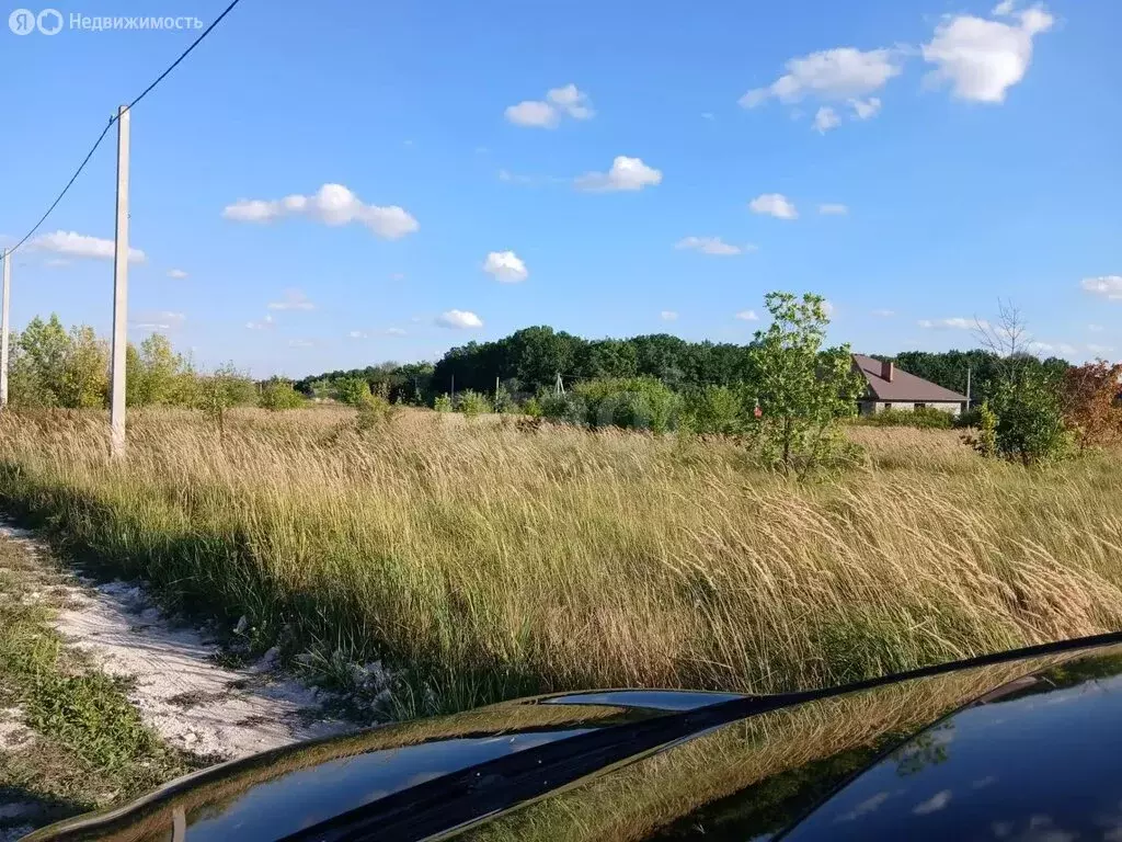 Участок в Белгородская область, Корочанский муниципальный округ, ... - Фото 2