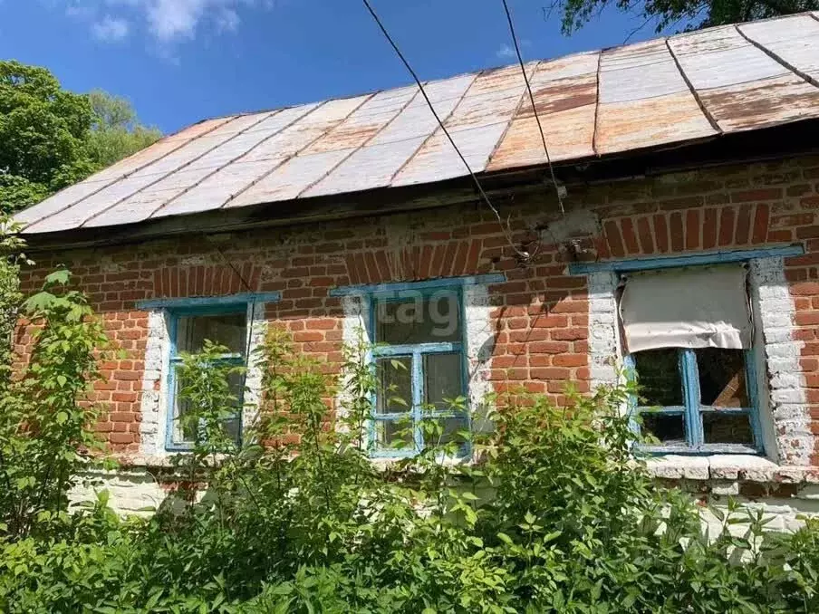 Участок в Липецкая область, Краснинский район, Александровский ... - Фото 0