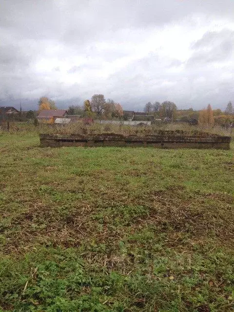 Участок в Новгородская область, Батецкий район, д. Косово  (14.0 сот.) - Фото 1