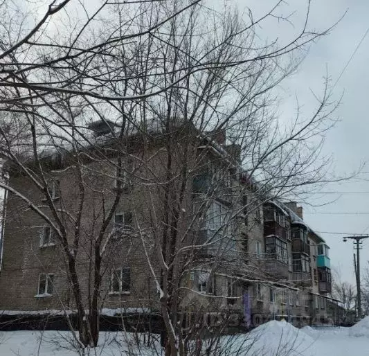 2-к кв. Алтайский край, Барнаул ул. Гоголя, 242Б (30.5 м) - Фото 1