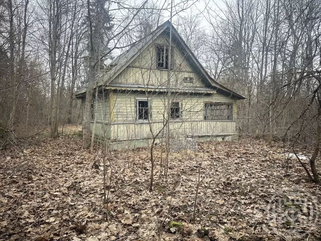 Дом в Ленинградская область, Ломоносовский район, Лопухинское с/пос, ... - Фото 1