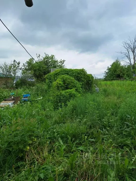 Участок в Московская область, Истра городской округ, д. Большое ... - Фото 0