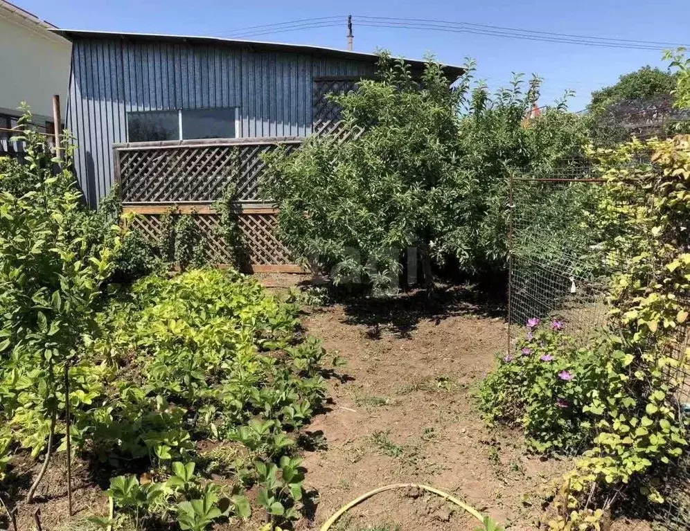 Участок в Крым, Евпатория Дружба СТ, ул. 1-я Аллея (7.35 сот.) - Фото 1