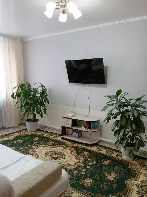 1-к кв. Тюменская область, Голышманово пгт ул. Советская, 82 (29.9 м) - Фото 1