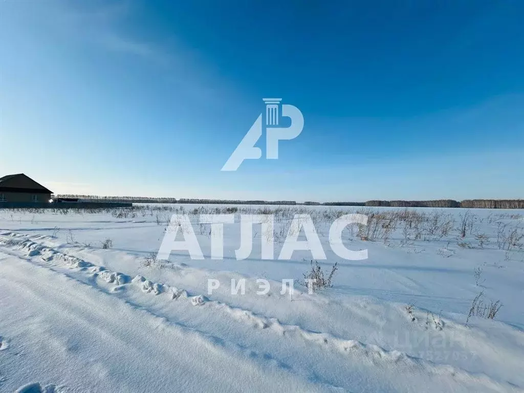 Участок в Омская область, Омский район муниципальный округ, с. Пушкино ... - Фото 2