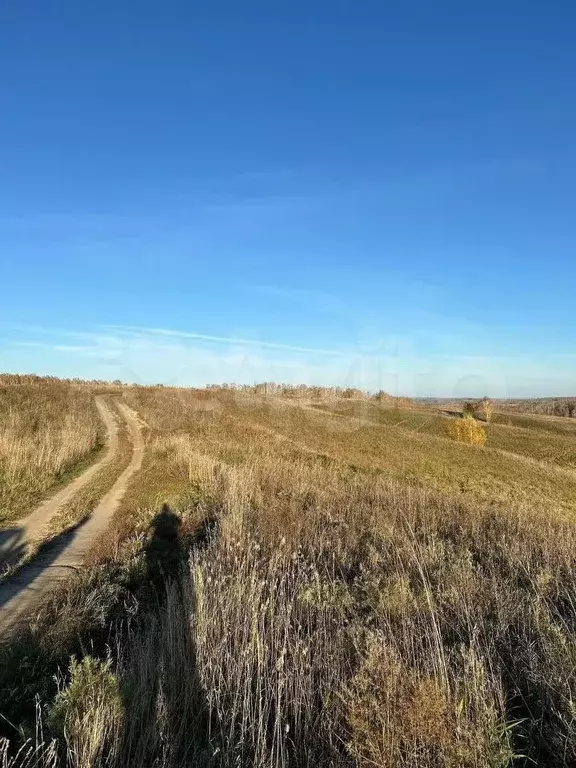 Участок 14,3 сот. (личное подсобное хозяйство (лпх)) - Фото 0