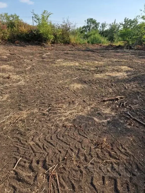 Участок в Ростовская область, Родионово-Несветайский район, ... - Фото 0