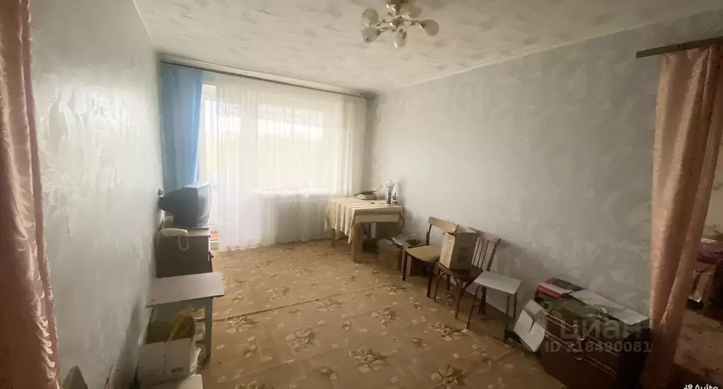 2-к кв. Кемеровская область, Кемерово ул. Муромцева, 10 (44.9 м) - Фото 0