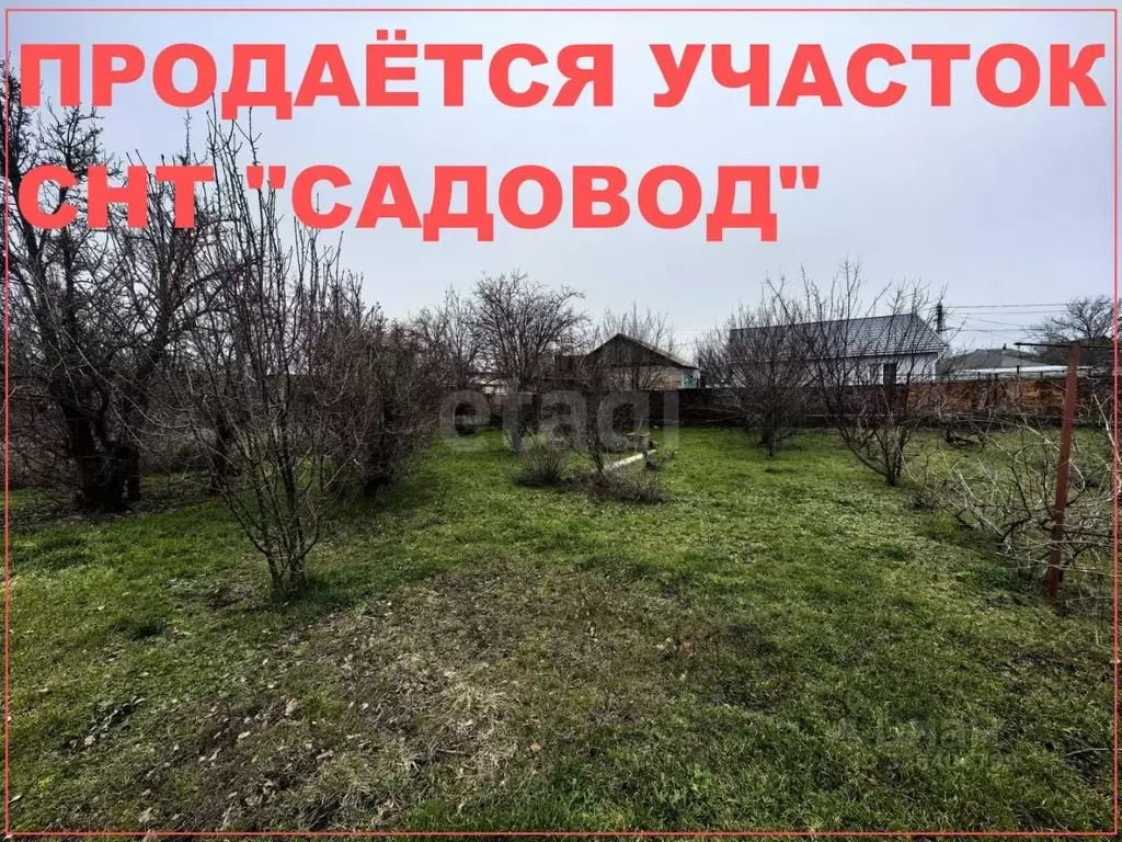Участок в Краснодарский край, Ейск Садовод СНТ,  (5.0 сот.) - Фото 1