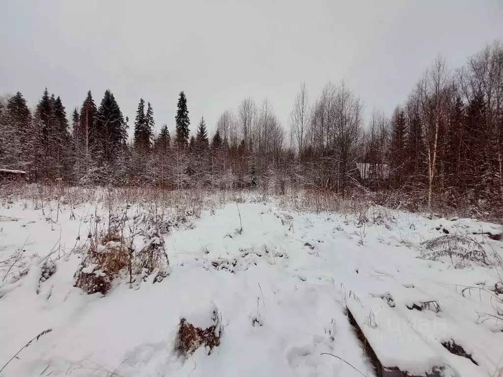 Дом в Коми, Сыктывдинский район, Выльгорт муниципальное образование, ... - Фото 0