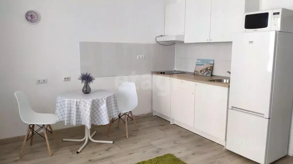 Студия Башкортостан, Уфа ул. Менделеева, 102 (28.0 м) - Фото 1