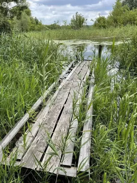Дом в село Репное, Заречная улица (70 м) - Фото 2