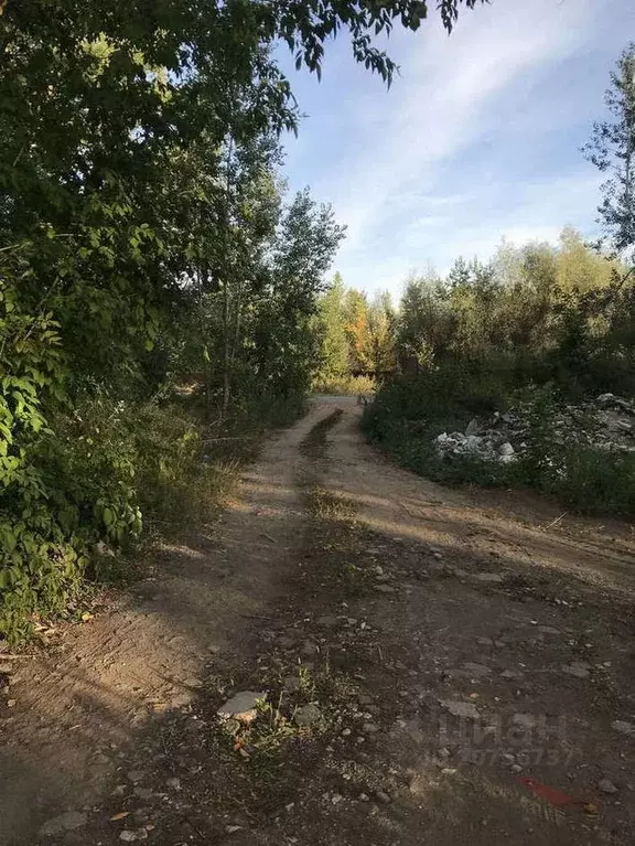 Участок в Самарская область, Красноярский район, Новосемейкино пгт ... - Фото 1