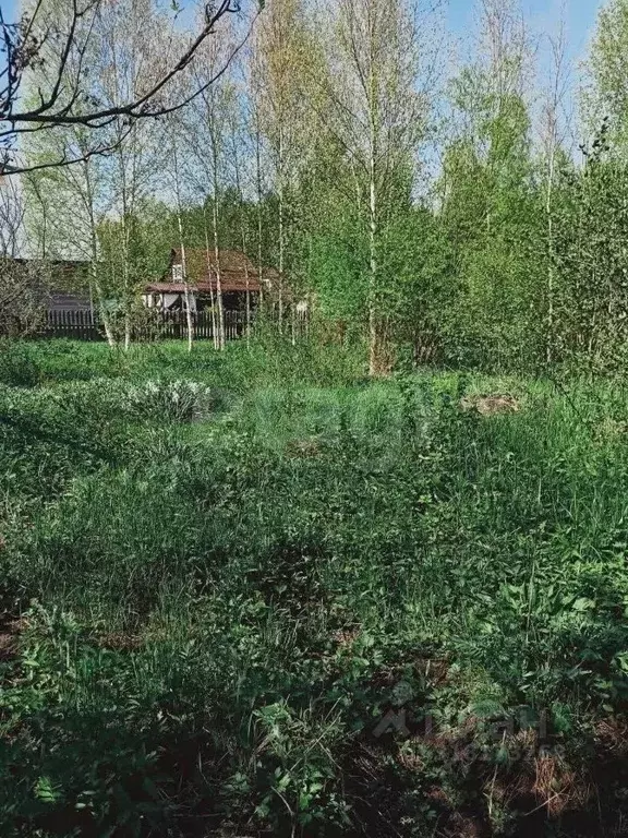 Участок в Кировская область, Юрьянский район, Загарское с/пос, ... - Фото 1