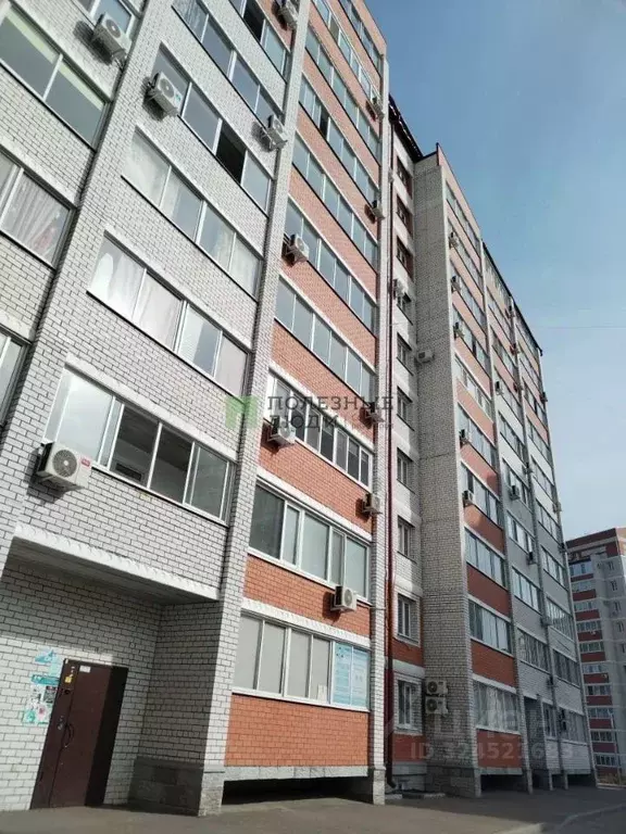 Студия Амурская область, Благовещенский район, с. Чигири Тепличная ... - Фото 1