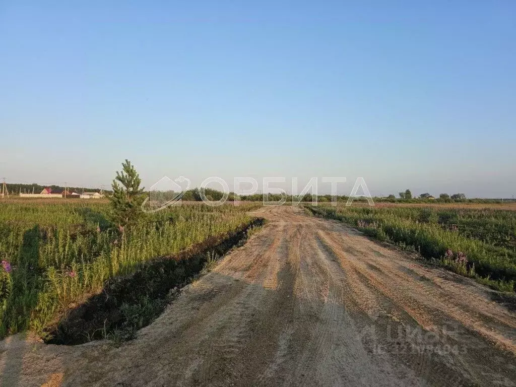 Участок в Тюменская область, Тюменский район, д. Елань 14 (8.18 сот.) - Фото 1