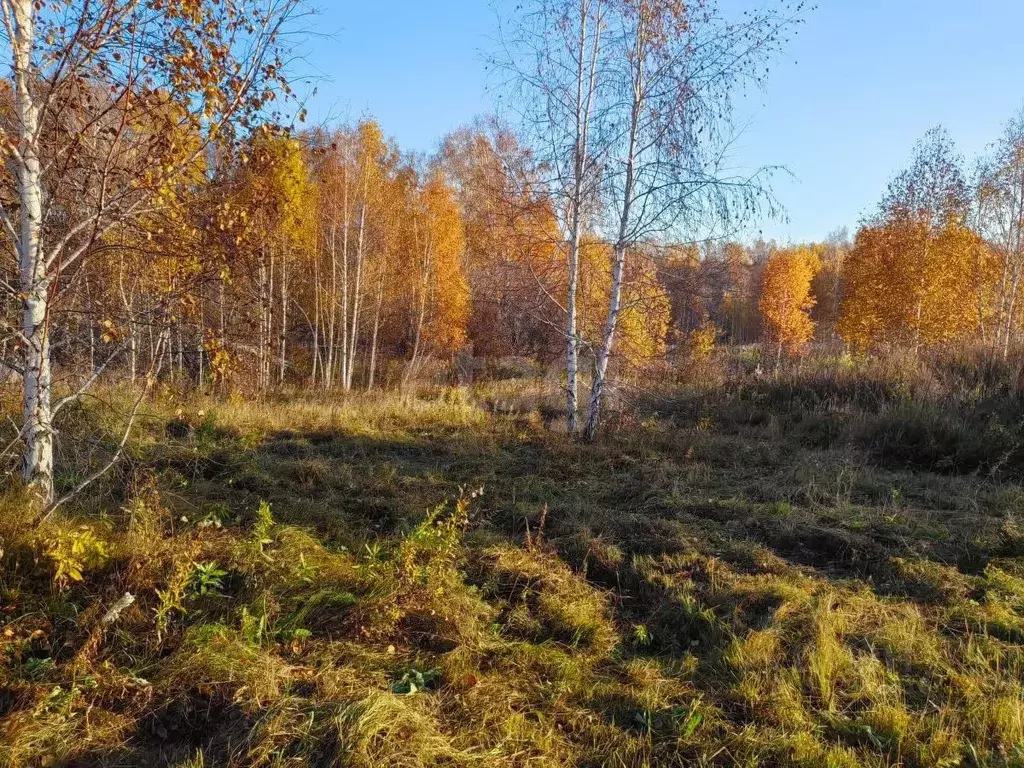 Участок в Красноярский край, Емельяновский муниципальный округ, пос. ... - Фото 1